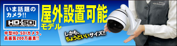 wtw-dy_size_bnr 屋外設置可能 HD-SDI 中型ドーム型カメラ
