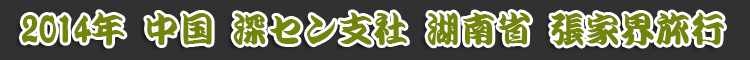 2014N ˖{f Γȃ`WWF23