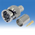WTW-BNC-3A