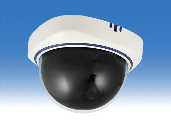 防犯カメラ HD-SDI カラードームカメラ　屋外 楽天市場】屋外設置可能 HD-SDIのドーム型カメラ 夜間監視用の