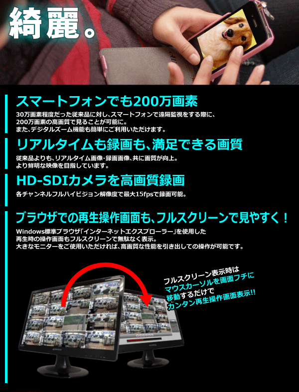 WTW-DV654 遠隔監視! 高解像度 高性能防犯用デジタルビデオレコーダー 販売終了】IP Wi-Fiカメラ用 ネットワークビデオレコーダー(NVR