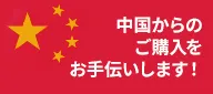 ジャパン・クオリティで、中国国内でIPカメラ購入はこちら！