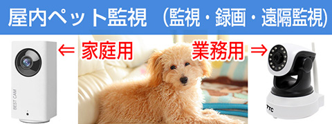屋内 業務用 防犯カメラと 防犯カメラ 自動追尾 ペット監視カメラ ネットワークカメラ