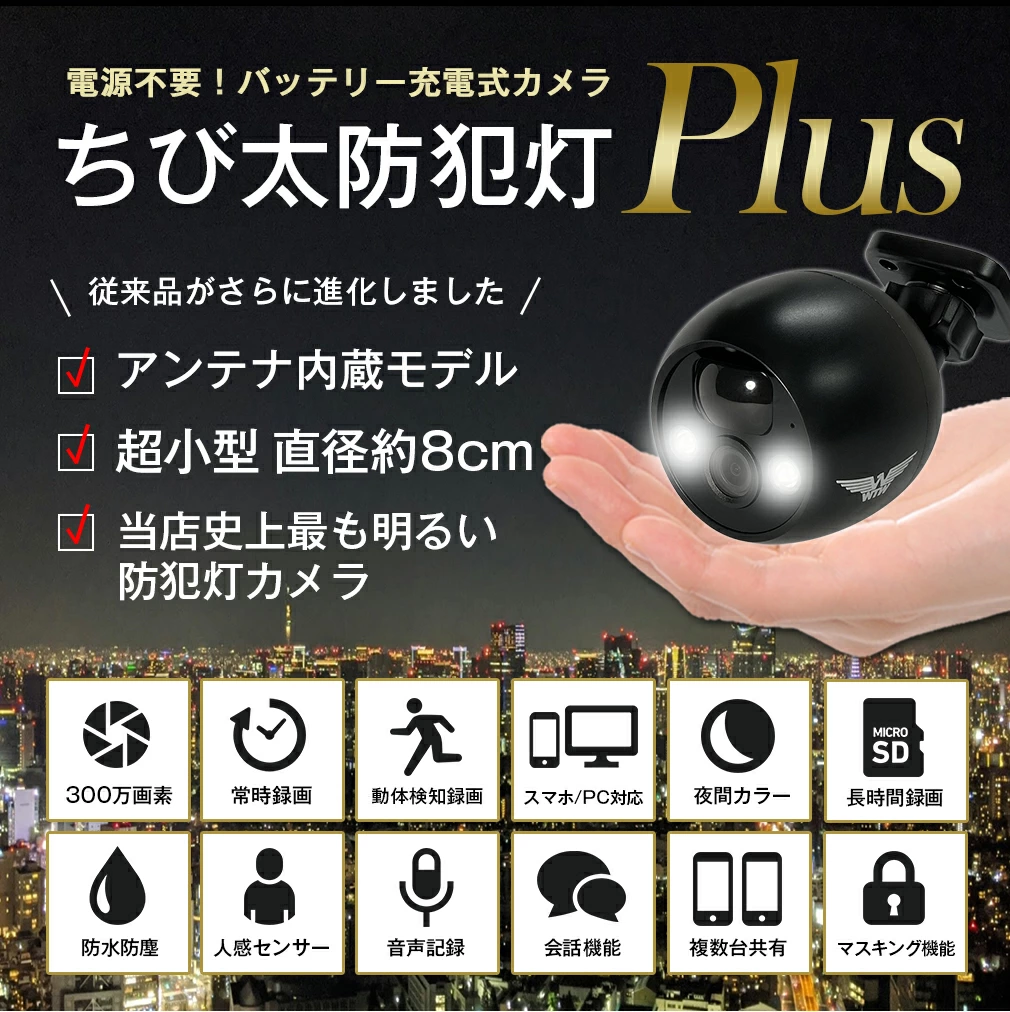 WTW-EGW1988Plus ちび太防犯灯カメラ 24時間カラー監視 【防犯灯強化型】