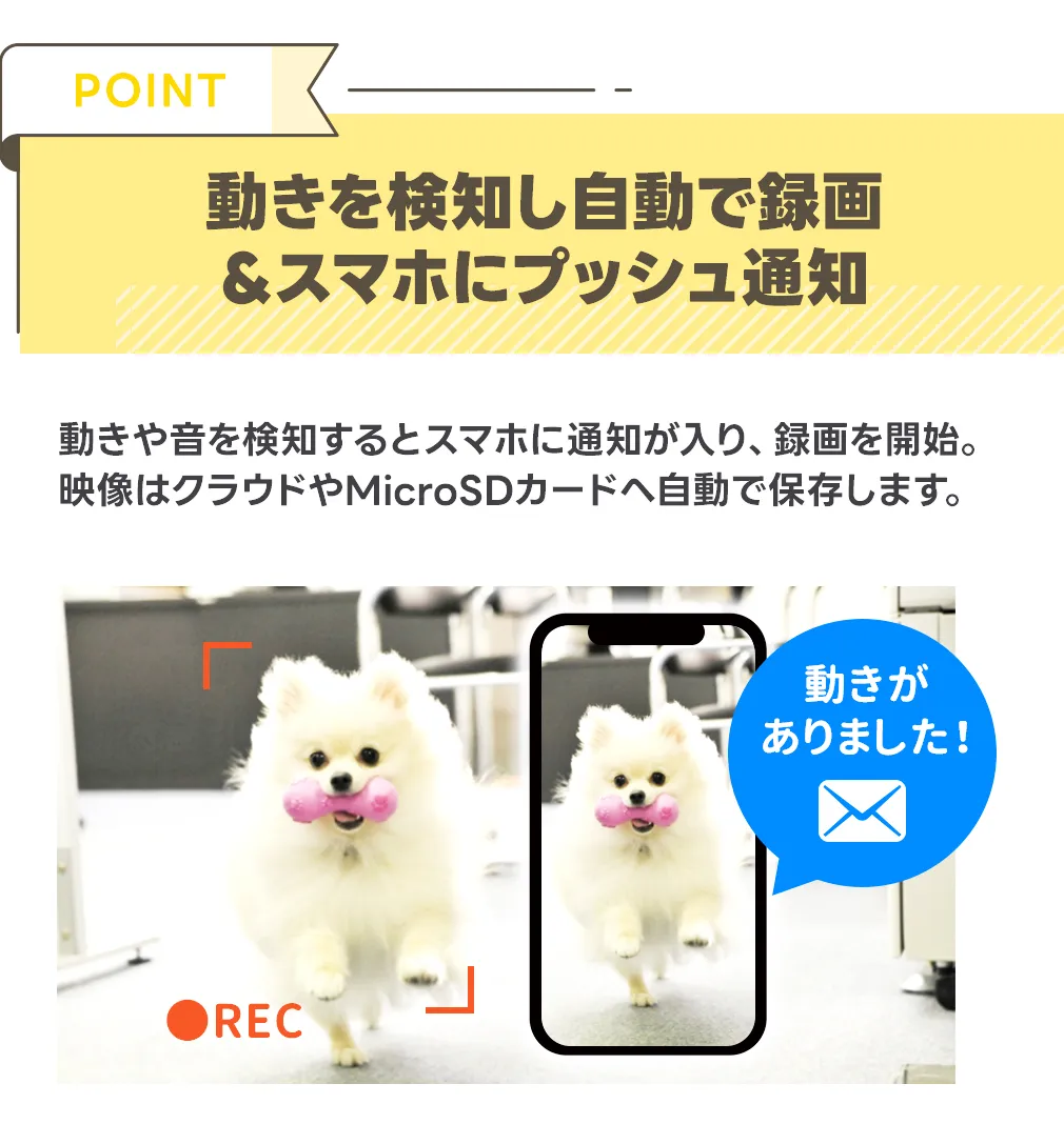 �y�b�g�E�����z�[���l�b�g���[�N�J���� WTW-W5065Y