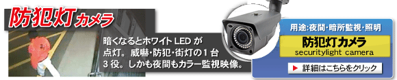 夜間監視に最適,夜間もカラー撮影可能な防犯灯カメラ