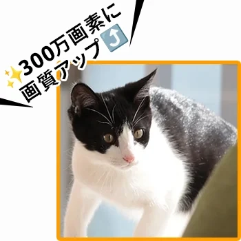 みてるちゃん 300万画素(WTW-IPW108JC3)