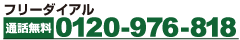 ˖{t[_CA0120-976-818