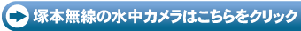 JփWv