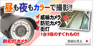 防犯灯カメラ